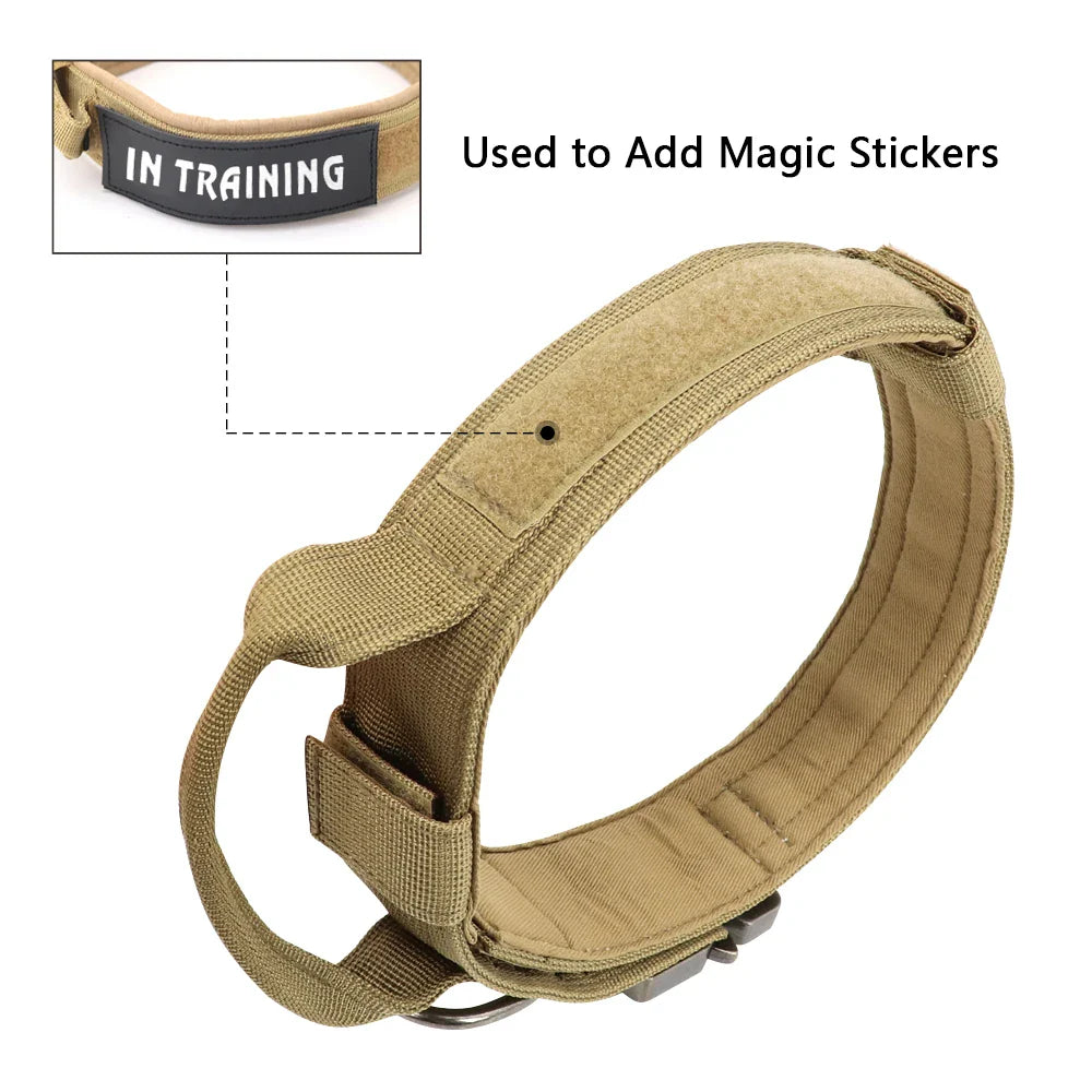 Durable tactical dog collar with quick-release buckle and matching bungee leash for strong dogs