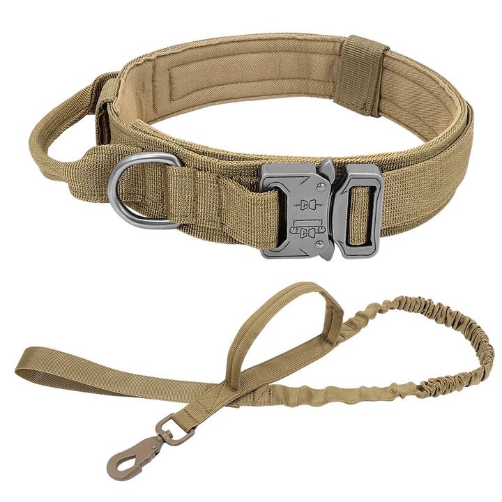 Service dog gear: rugged tactical collar and shock-absorbing bungee leash for working dogs