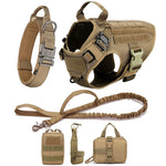 Harness FULL KIT