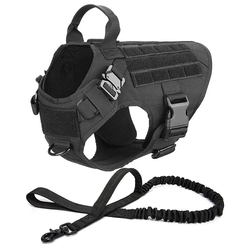 Tactical no-pull harness shown on a dog walking calmly by owner
