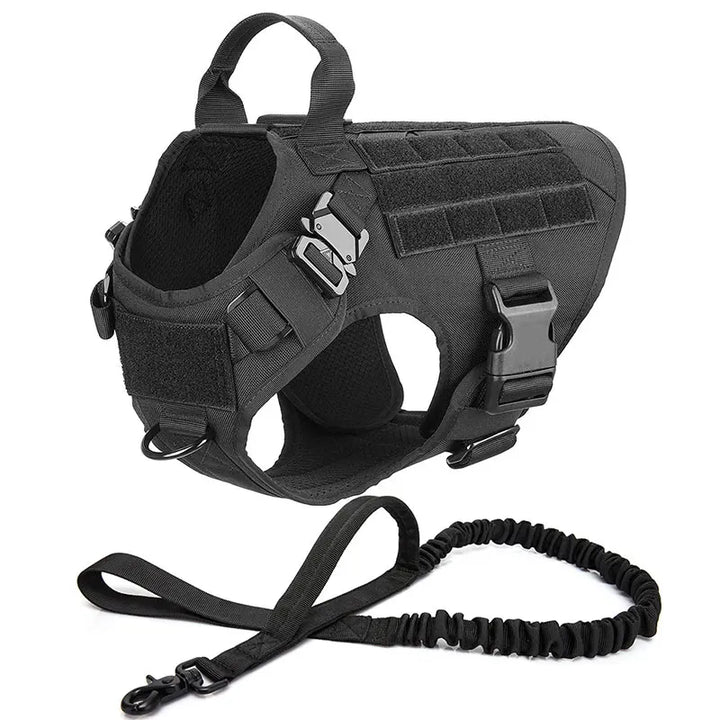 Tactical no-pull harness shown on a dog walking calmly by owner