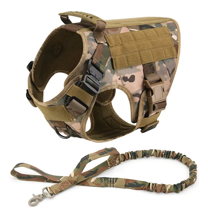 Heavy-duty buckles on a black tactical no-pull dog harness for security