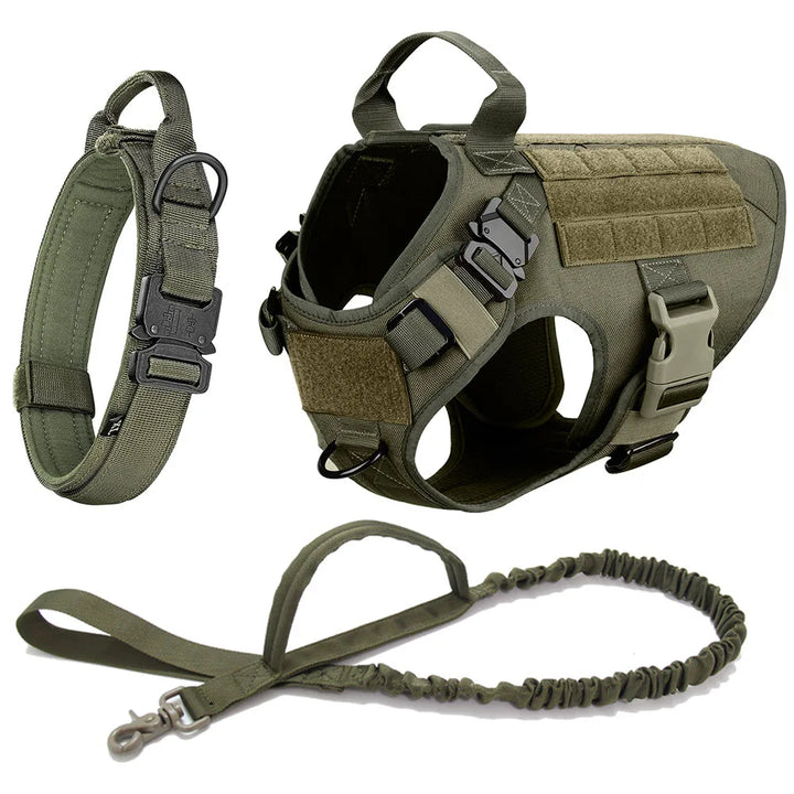 K9 tactical no-pull dog harness in action during agility training