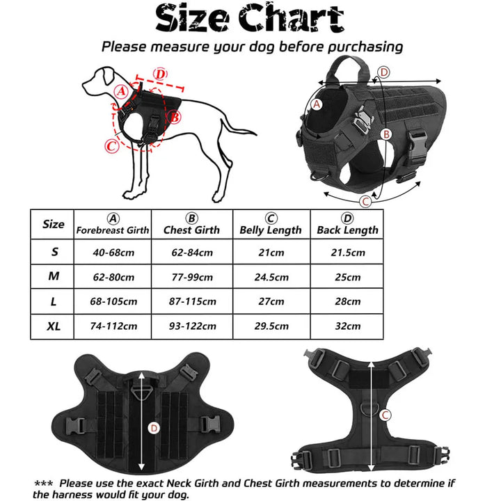 No-pull dog harness with front and back leash attachments, black webbing