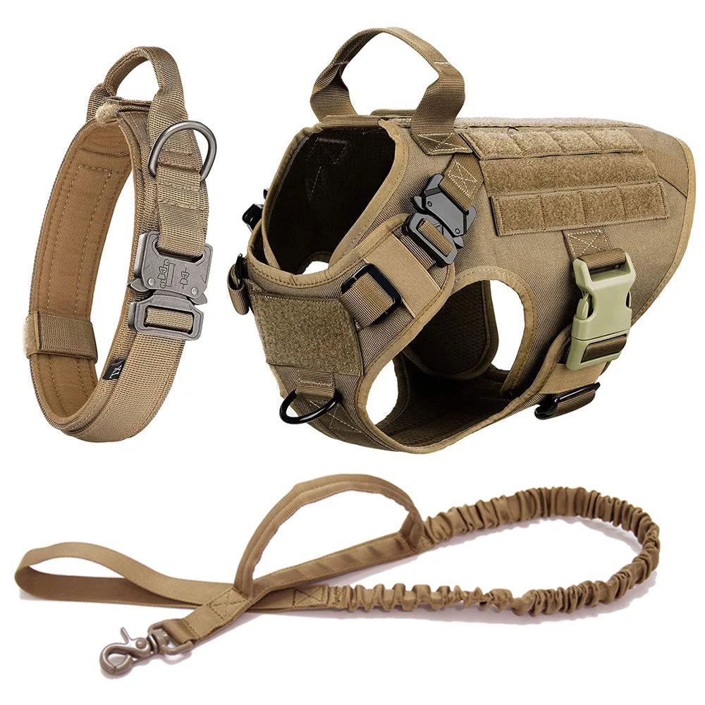 Heavy duty K9 gear: tactical dog harness with metal buckles, detailed view