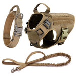 Harness SET