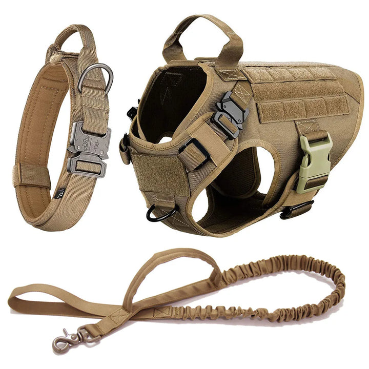 Heavy duty K9 gear: tactical dog harness with metal buckles, detailed view