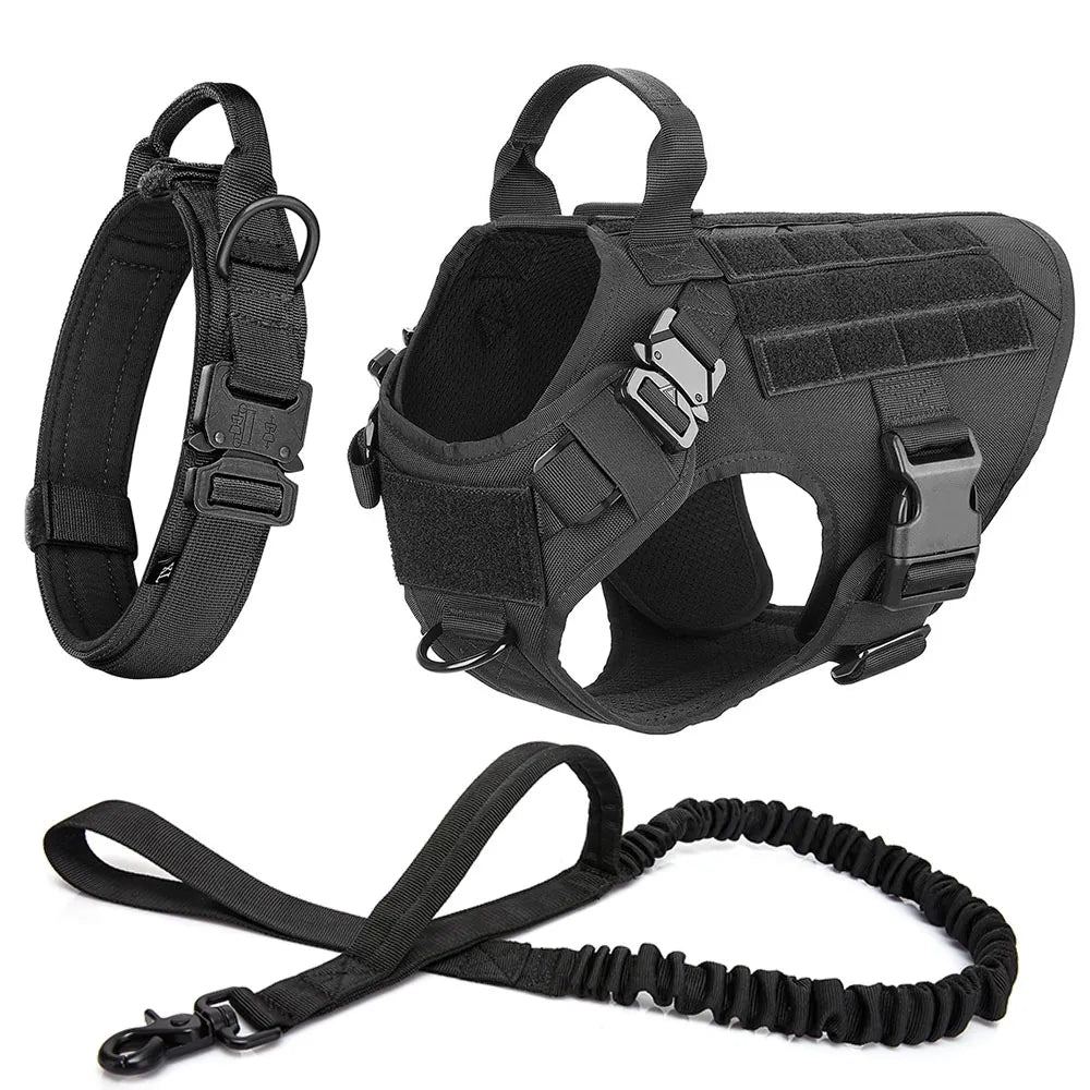 Training dog harness: black no-pull design with breathable mesh lining