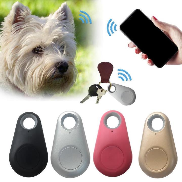"Tracker GPS mini impermeabile per animali, design compatto, attaccato a collare, facile da usare, monitora tramite app."