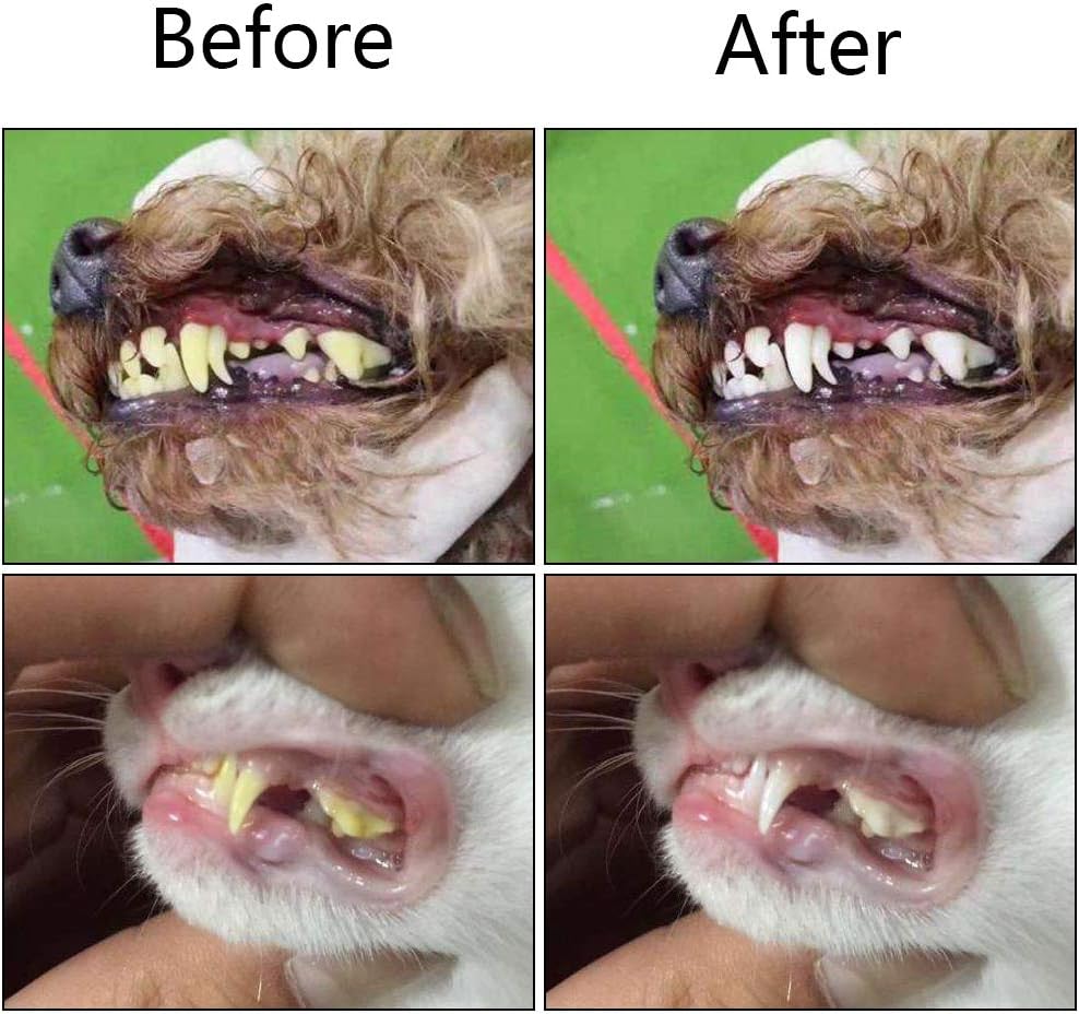Dog owners' choice: a tri-sided toothbrush to combat dog tartar buildup & ensure fresh pet breath.