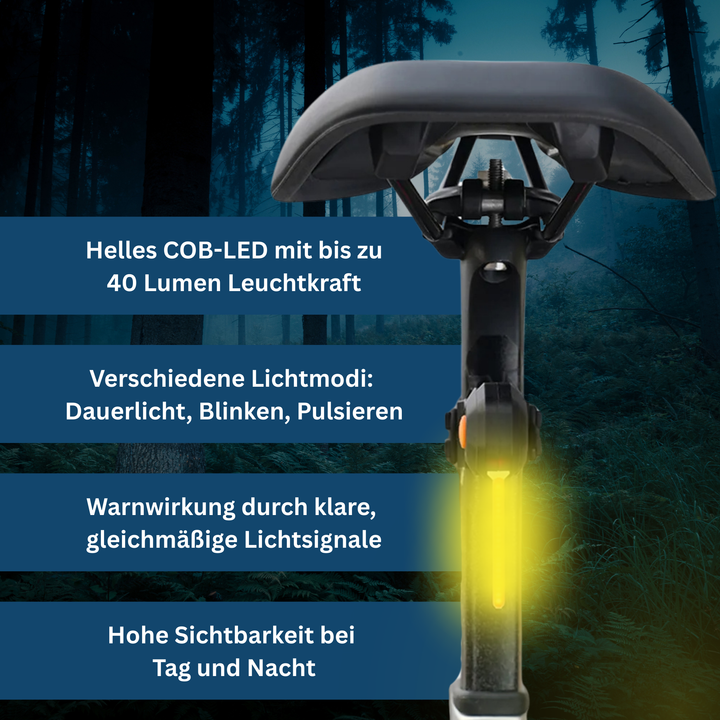 LED Rear Bike Light, High Visibility for Night Riding, Bicycle Accessory, USB Rechargeable
