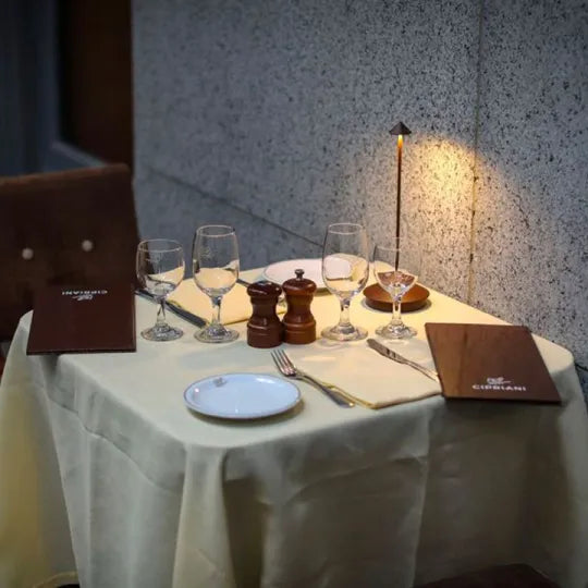 Stylish wireless LED table lamp, portable & dimmable, perfect for indoor/outdoor decor.