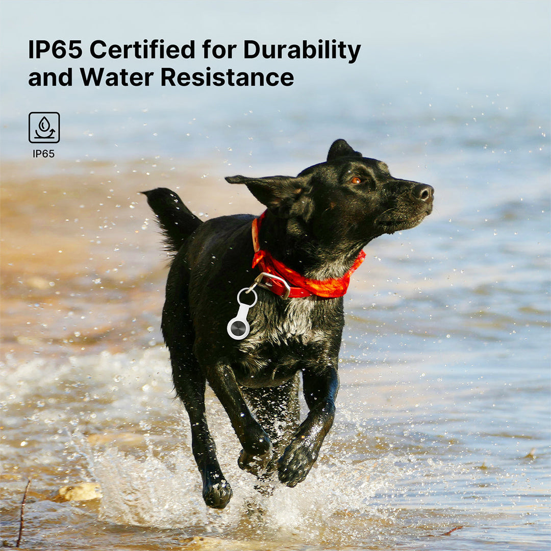 Smart dog and cat GPS tracker, a waterproof pet supply for reliable outdoor tracking and safety.