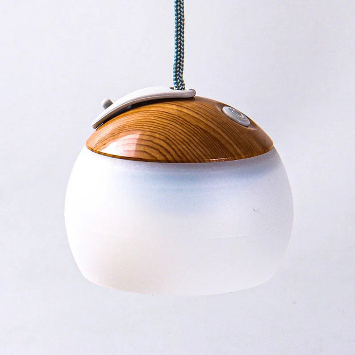 USB-powered rechargeable vintage LED lantern, reliable emergency light & outdoor lamp.