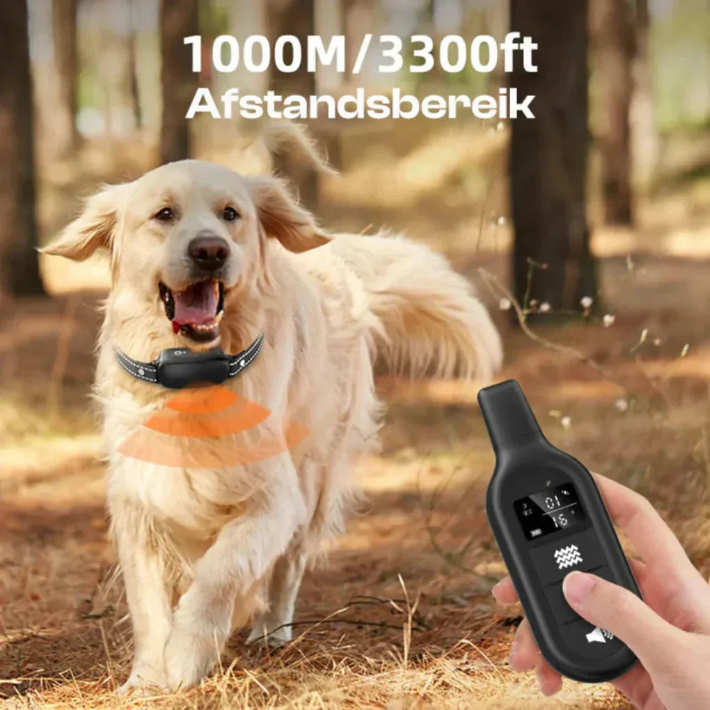 Pet supplies: Long-range 3300ft remote dog training collar, waterproof, for improved pet obedience.