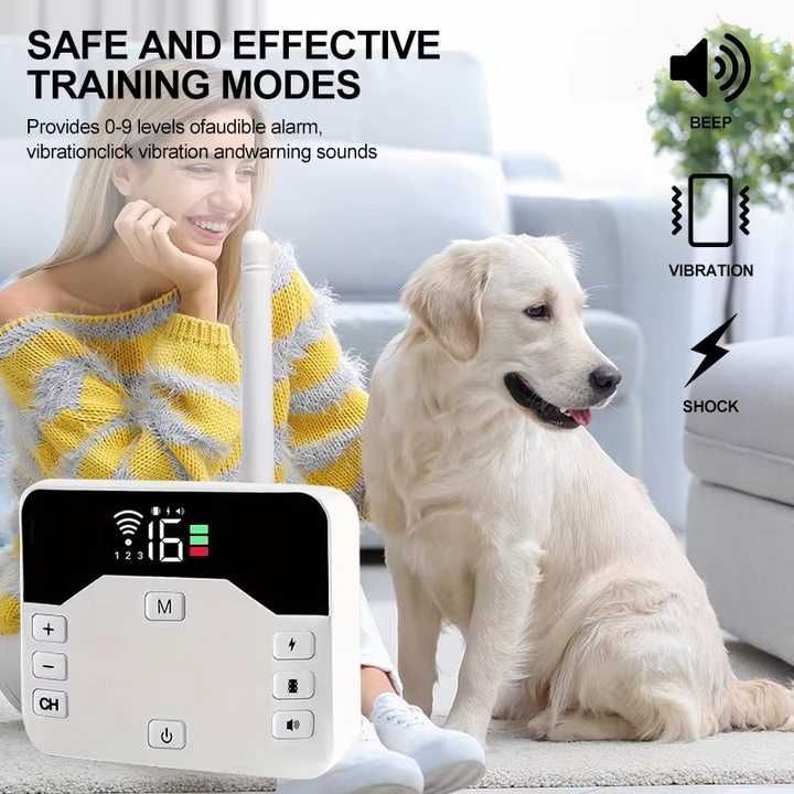 Invisible wireless dog fence system for secure, outdoor pet containment.