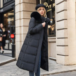 Black with Solid Color